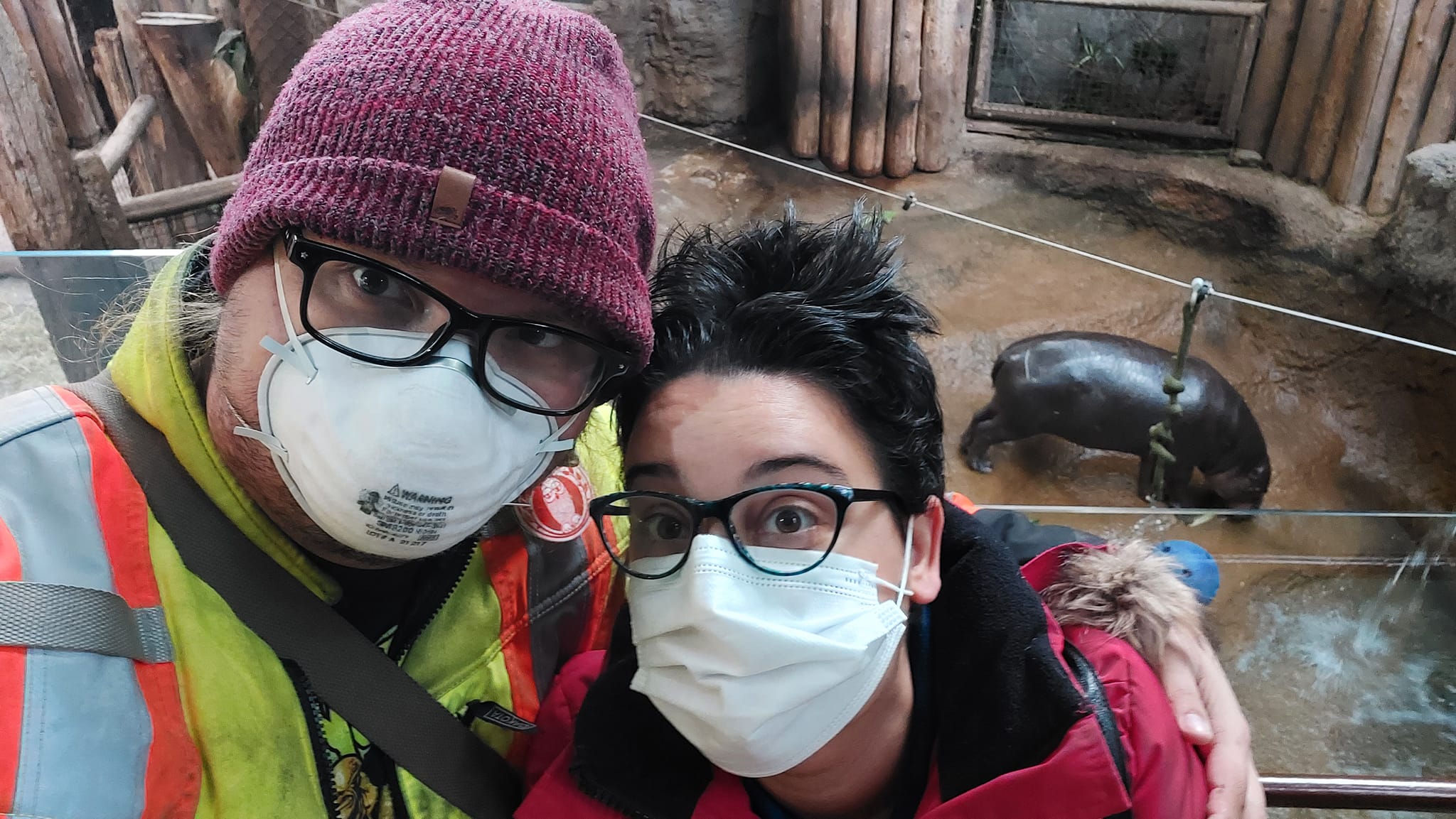 A man wearing a red toque, a high visibility winter coat and an N95 mask is next to a woman with medium length black hair, a red winter coat and a surgical mask, they are hugging and are in front of the pygmy hippo enclosure